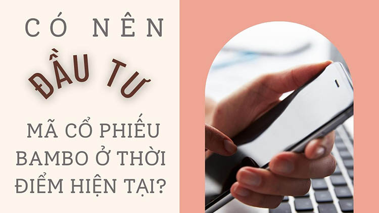 mã chứng khoán bamboo