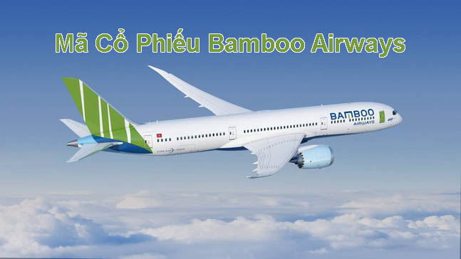 mã cổ phiếu bamboo