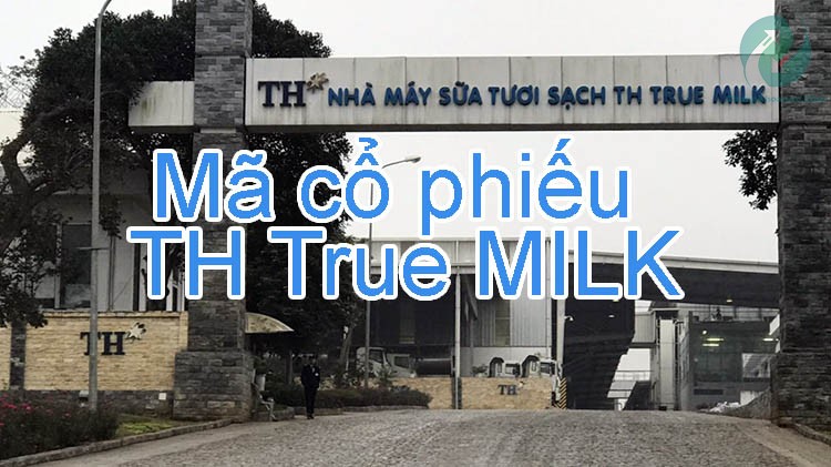 mã cổ phiếu th true milk