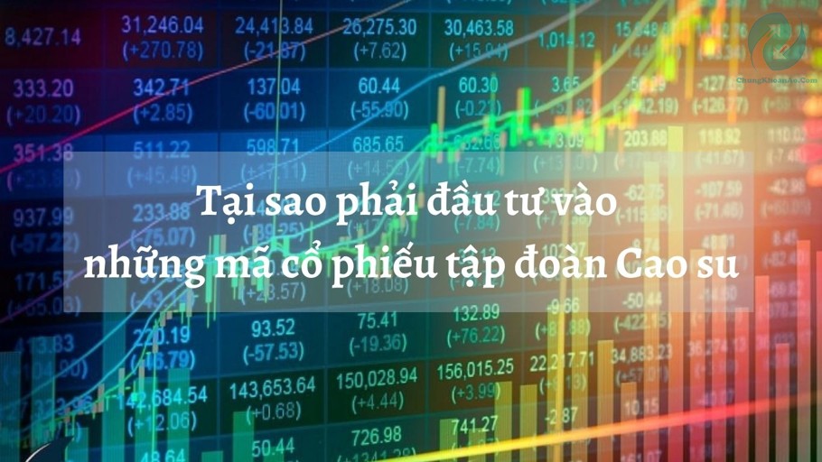 tại sao phải dau tư những mã cổ phiếu cao su
