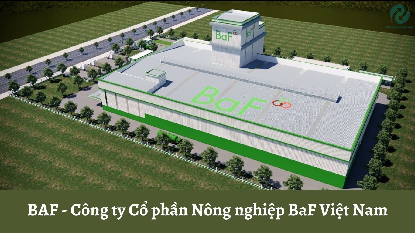 cổ phiếu ngành chăn nuôi BAF
