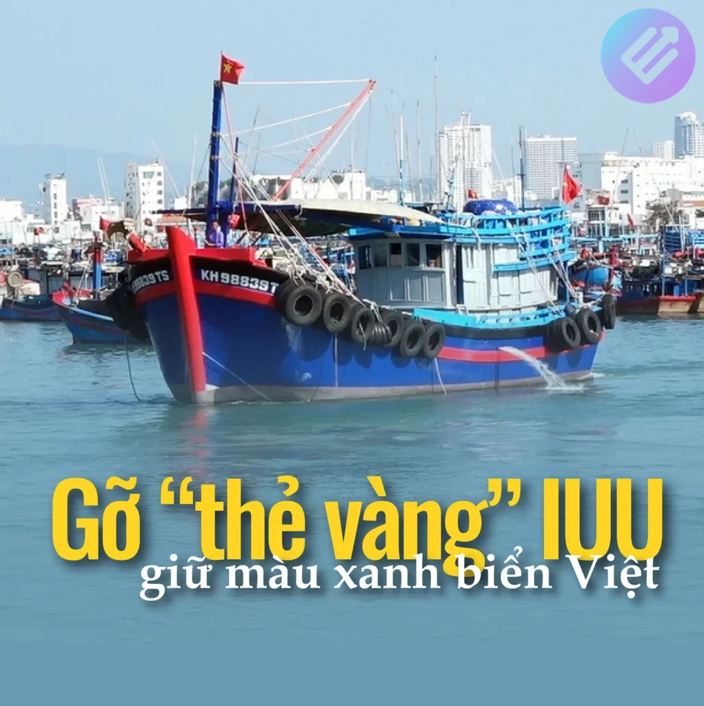 gỡ thẻ vàng iuu
