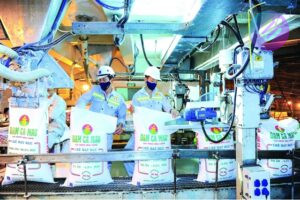 công ty DCM Đạm Cà Mau