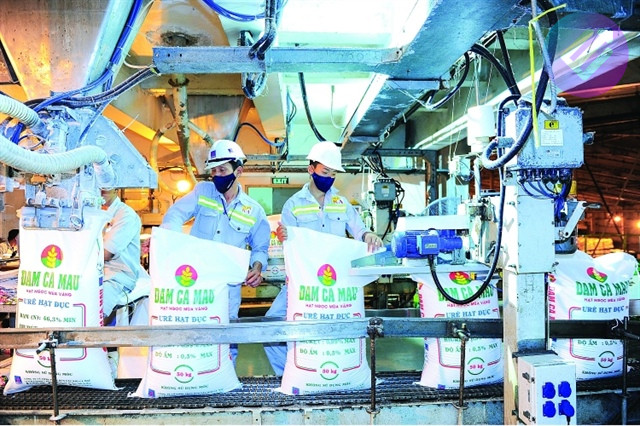 công ty DCM Đạm Cà Mau